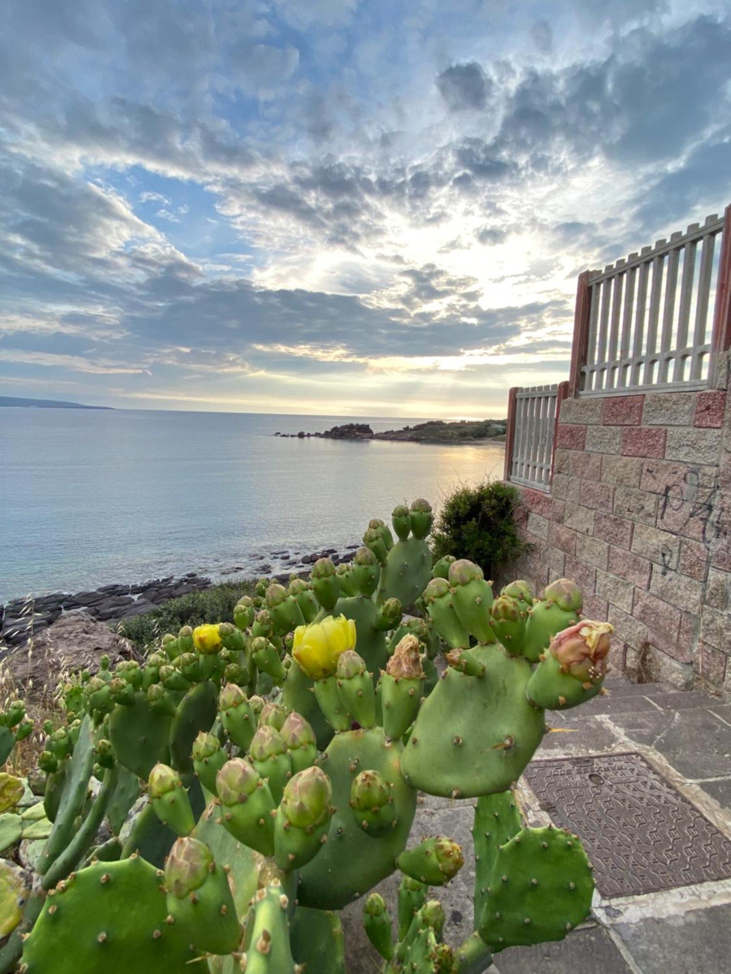 Juniper Bay Bed & Breakfast Portoscuso Eksteriør bilde
